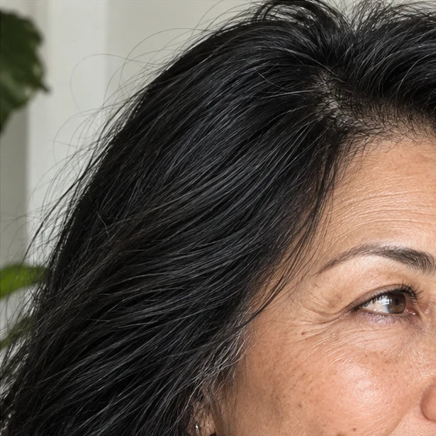 LE KIT SOURCILS